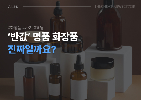 사기뉴스 브리핑