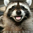 프로필 사진