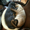프로필 사진