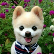 https://thecheat.co.kr/fs_sbl/member/2017/12/04/9acf5801a00d085df0efa0886ba15282.png