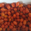 프로필 사진