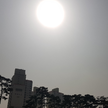 프로필 사진