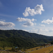 프로필 사진