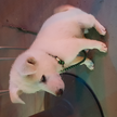 프로필 사진