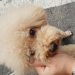 프로필 사진