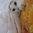 프로필 사진
