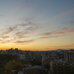 프로필 사진