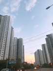 프로필 사진