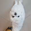 프로필 사진