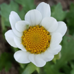 https://thecheat.co.kr/fs_sbl/member/2019/04/13/a84237833d26018e45dd3b54d5d9ae53.png