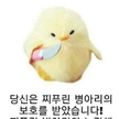 프로필 사진