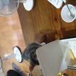 프로필 사진