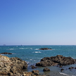 프로필 사진