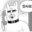 프로필 사진