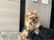 프로필 사진