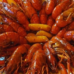 프로필 사진