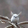 프로필 사진