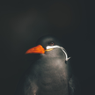 https://thecheat.co.kr/fs_sbl/member/2019/12/30/a3799c6cebbefdfc446af8853e54d52f.png