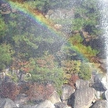 프로필 사진