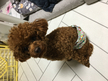 프로필 사진