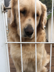 https://thecheat.co.kr/fs_sbl/member/2020/03/12/9c9aae4f36668e05b574c5d42f586be1.png