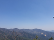 프로필 사진