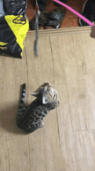 프로필 사진