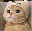 프로필 사진