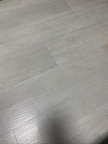 프로필 사진