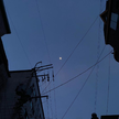 프로필 사진