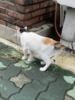 프로필 사진