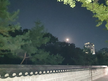 프로필 사진