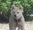 https://thecheat.co.kr/fs_sbl/member/2020/09/20/af71383794ea7486de8f6a61fa28925e.png