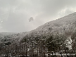 프로필 사진