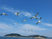 프로필 사진