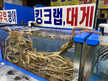프로필 사진