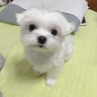 프로필 사진