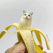 프로필 사진