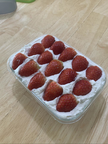 프로필 사진