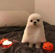 프로필 사진