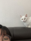 프로필 사진