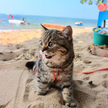 프로필 사진