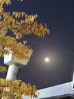 프로필 사진