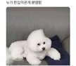 프로필 사진
