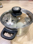 프로필 사진