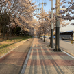 프로필 사진