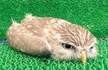 프로필 사진