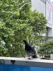 https://thecheat.co.kr/fs_sbl/member/2021/06/15/7033e893af9200b5c2bc41c485512d31.png