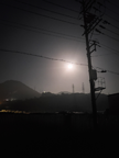 프로필 사진