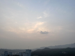프로필 사진
